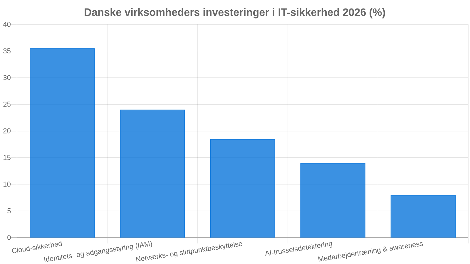 IT-sikkerhedsbudgetter i danske virksomheder 2026: Hvor placeres investeringerne?